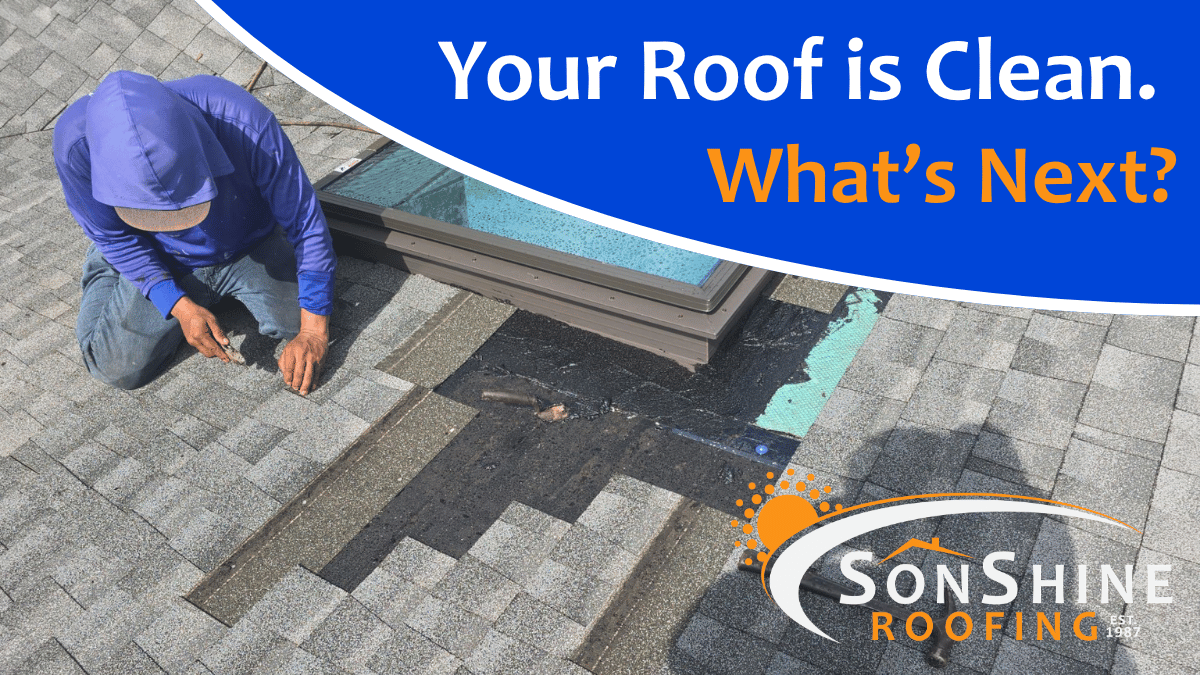 Featured image for post: Your Roof Is Clean. What’s Next?
